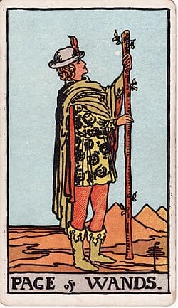 Valet de Bâtons, carte du tarot Rider-Waite-Smith
